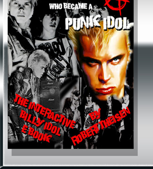 The Idle punk who became a punk idol ebook cover